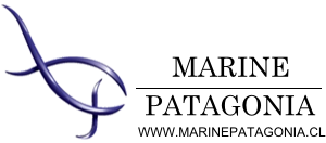 logo-marine-patagonia