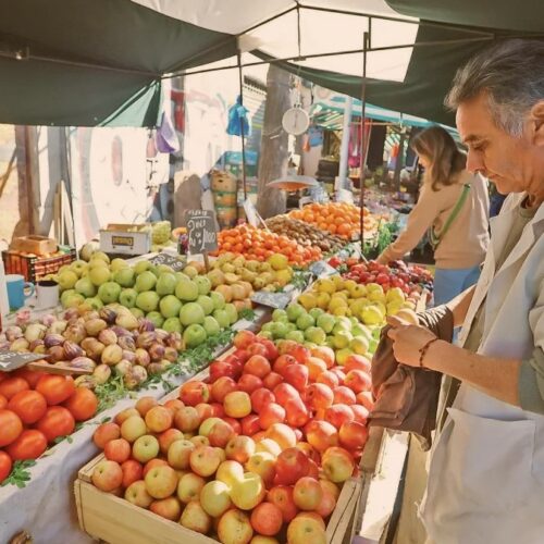 Estudio CIESUDD: "La alta inflación de julio afectó más a los segmentos vulnerables de la población"